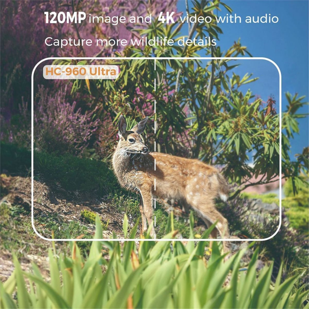 güncelleme. Açık Hava 4G 120MP - Hunting And Outdoor Shows incelemesi ve fiyatı